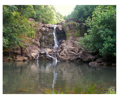 Best hikes in Maui | free-classifieds-usa.com - 1