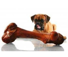 Best Chew Bones for Dogs. Dogs love to chew | free-classifieds-usa.com - 1