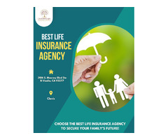 Life insurance agency in Clovis | free-classifieds-usa.com - 1