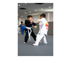 Best brazilian jiu jitsu school | free-classifieds-usa.com - 1