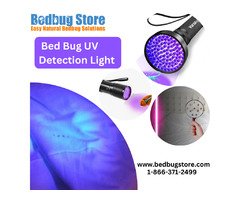 Power Steamer will effectively eliminate bedbugs from your house | free-classifieds-usa.com - 1
