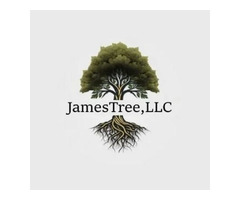 JamesTree, LLC | free-classifieds-usa.com - 1