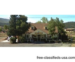 236162 - Colorado Rose | free-classifieds-usa.com - 1