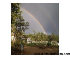 9.77 ACRES FARM IN NEW MEXICO, WITH WATER AND POWER | free-classifieds-usa.com - 1