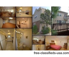 Large 1 Bedroom Co-Op In Great Location | free-classifieds-usa.com - 1