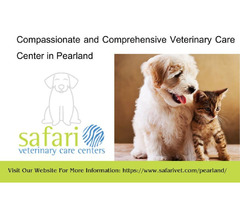 Compassionate and Comprehensive Veterinary Care Center in Pearland | free-classifieds-usa.com - 1