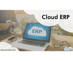 Empower Growth And Profitability With Our ERP Solutions For SMBs | free-classifieds-usa.com - 1