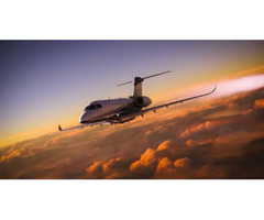 Aviation Consultants - PlaneTadaa | free-classifieds-usa.com - 1