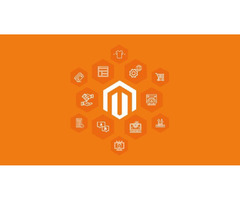 Elevate Your E-Commerce Brand with a High-Converting Magento Site | free-classifieds-usa.com - 2