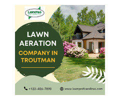 Lawn Aeration Company in Mooresville - LawnPro | free-classifieds-usa.com - 1