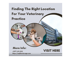 Finding The Right Location For Your Veterinary Practice | free-classifieds-usa.com - 1