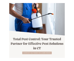 Total Pest Control CT: Your Solution for Residential & Commercial Pest Control | free-classifieds-usa.com - 1