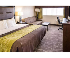 Stay in the Heart of Charleston - Book Comfort Inn Downtown | free-classifieds-usa.com - 3