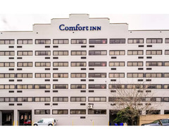 Stay in the Heart of Charleston - Book Comfort Inn Downtown | free-classifieds-usa.com - 4
