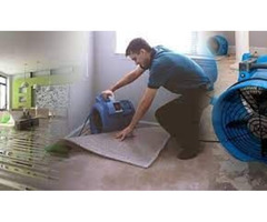  Water damage services in Brandon FL | free-classifieds-usa.com - 2
