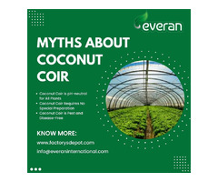 Is Coconut Coir the Right Choice for Your Garden - Unmasking Coconut Coir Myths | free-classifieds-usa.com - 1