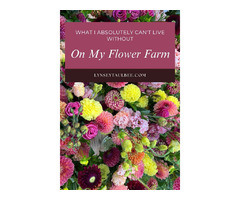 Find Cheap Flowers Near Me | Affordable Flower Delivery Services | free-classifieds-usa.com - 1