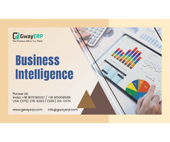 Top Business Intelligence  Management Software | free-classifieds-usa.com - 1