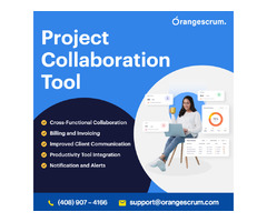 Best Project Collaboration Tools & Software For Teams in 2024 | free-classifieds-usa.com - 1