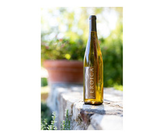 Paso Robles Wine Photographer - Jayme Burrows | free-classifieds-usa.com - 4