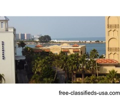 Live a King-size Life at Sunny Clearwater Beach Condo | free-classifieds-usa.com - 1