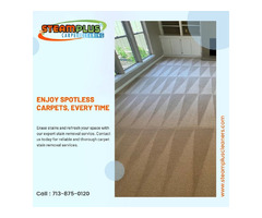 Unveil the Beauty of Your Carpets with Our Expertise! | free-classifieds-usa.com - 1
