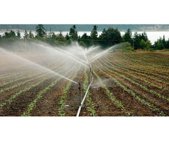Irri Design Studio: Your Top Choice for Irrigation Design in Texas | free-classifieds-usa.com - 4