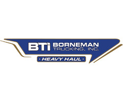 Explore Borneman Trucking's Range of Used Telehandlers for Sale | free-classifieds-usa.com - 1