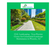 CGL Landscaping - Your Premier Choice for Commercial Landscape Maintenance in Chandler, AZ | free-classifieds-usa.com - 1