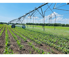 Efficient Irrigation Consulting Services by Irri Design Studio | free-classifieds-usa.com - 1