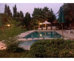 Stately Resort with Stunning Pool | free-classifieds-usa.com - 3