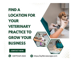 Find A Location For Your Veterinary Practice To Grow Your Business | free-classifieds-usa.com - 1