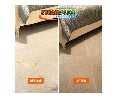 Experience Spotless Elegance: Carpet Cleaning in Sugar Land | free-classifieds-usa.com - 1