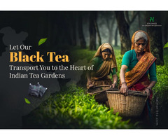 Let Our Black Tea Transport You to the Heart of Indian Tea Gardens | free-classifieds-usa.com - 1