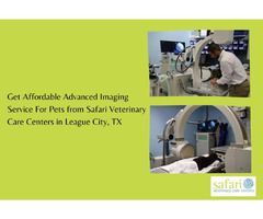 Get Affordable Advanced Imaging Service For Pets from Safari Veterinary Care Centers in League City, | free-classifieds-usa.com - 1