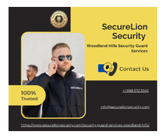 Reliable Security Guard Service in Woodland Hills | SecureLion Security | free-classifieds-usa.com - 1
