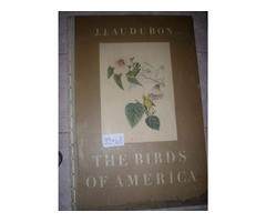 John J. Audubon's Birds of America | free-classifieds-usa.com - 1
