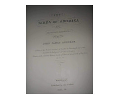 John J. Audubon's Birds of America | free-classifieds-usa.com - 2