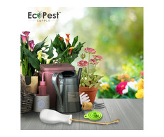 Eco-Friendly Pest Control Made Easy! | free-classifieds-usa.com - 1