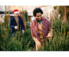 Christmas Trees on Sale at Eggleston Garden Center | free-classifieds-usa.com - 1