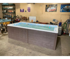 Custom Made Swim Spas in USA | free-classifieds-usa.com - 3