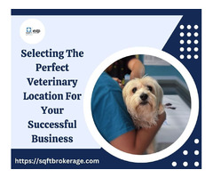 Selecting The Perfect Veterinary Location For Your Successful Business | free-classifieds-usa.com - 1