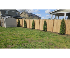 Francisco V Landscaping and Fencing | free-classifieds-usa.com - 3
