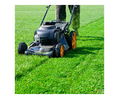The Ultimate Guide to Lawn Aeration Services - TM Lawn Cares | free-classifieds-usa.com - 1