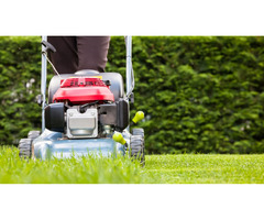 The Ultimate Guide to Lawn Aeration Services - TM Lawn Cares | free-classifieds-usa.com - 2