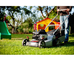 The Ultimate Guide to Lawn Aeration Services - TM Lawn Cares | free-classifieds-usa.com - 3