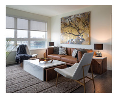 Explore Modern & Luxury Studio Apartments in Kansas City  | free-classifieds-usa.com - 2