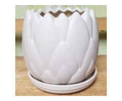 Orchid Pottery: Enhance Your Orchids with Refined Elegance of Glazed Ceramic | free-classifieds-usa.com - 1