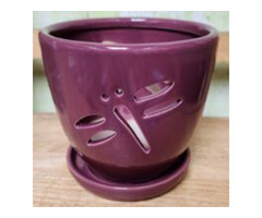 Orchid Pottery: Enhance Your Orchids with Refined Elegance of Glazed Ceramic | free-classifieds-usa.com - 2