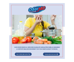 Expert Odor Removal Services In Cape Coral | free-classifieds-usa.com - 1